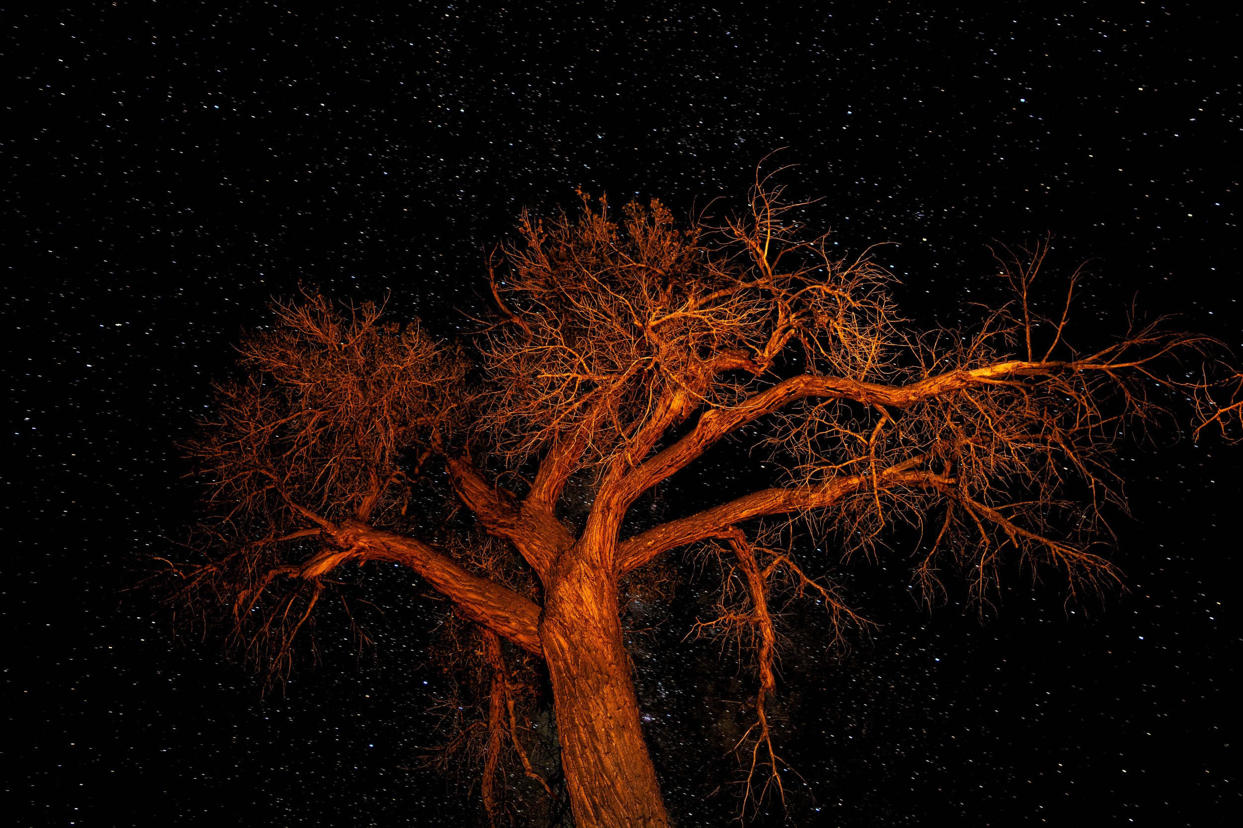 USA 2024 5 Sterne 97